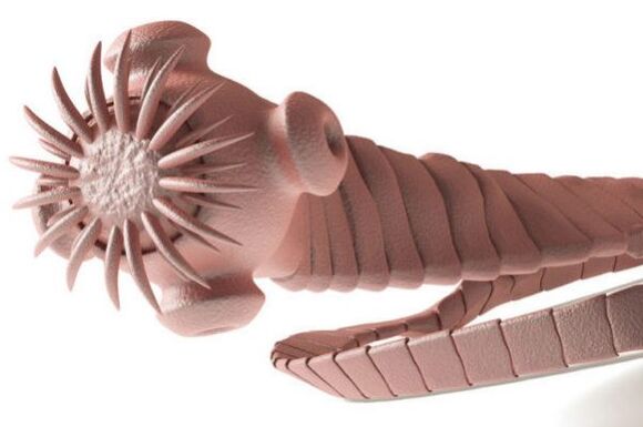 паразит од човечкото тело